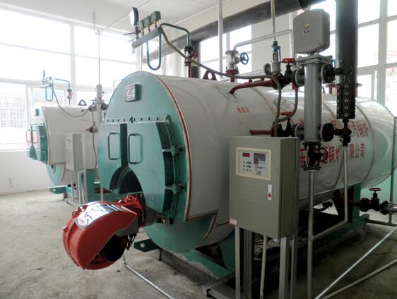 WNS�Pʽȼ�ͣ��⣩����偠tϵ��